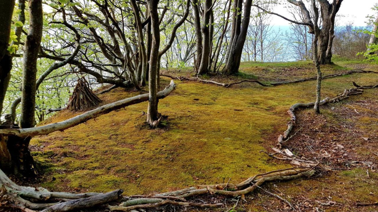 Villa Lesna Ostoja Poddabie Esterno foto