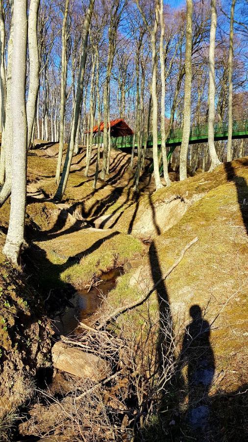 Villa Lesna Ostoja Poddabie Esterno foto